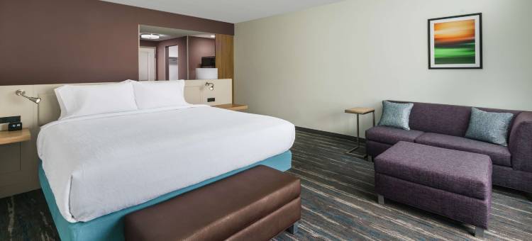 希尔顿花园酒店阿波卡城市中心(Hilton Garden Inn Apopka City Center)图片