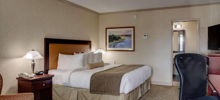 市中心贝斯特韦斯特优质酒店(Best Western Plus City Centre Inn)图片