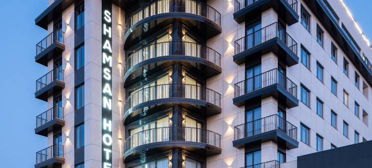 Shamsan机场酒店(Shamsan Airport Hotel)图片