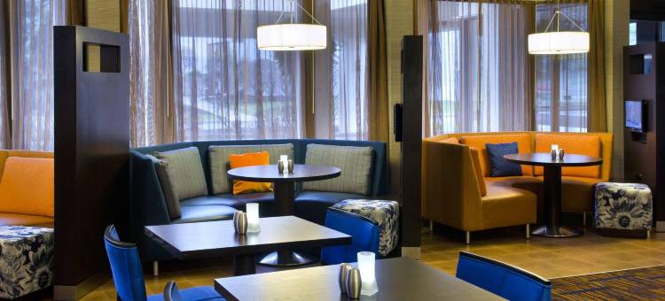 雪城环路万怡酒店(Courtyard Syracuse Carrier Circle)图片