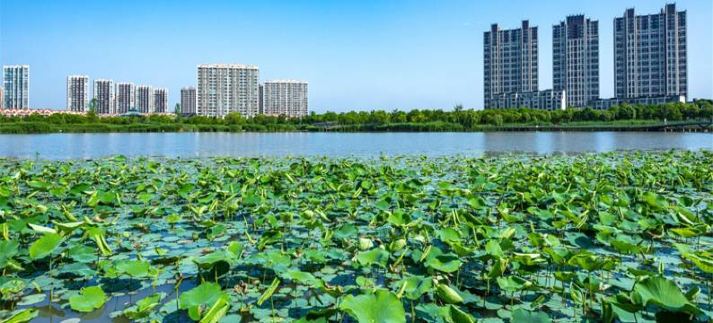 碧海金沙海景雅居公寓(金汇塘东路分店)图片