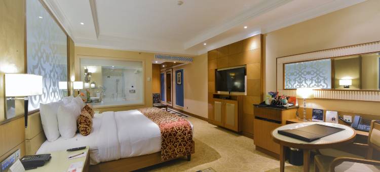 金奈温德姆华美达广场酒店(Ramada Plaza by Wyndham Chennai)图片