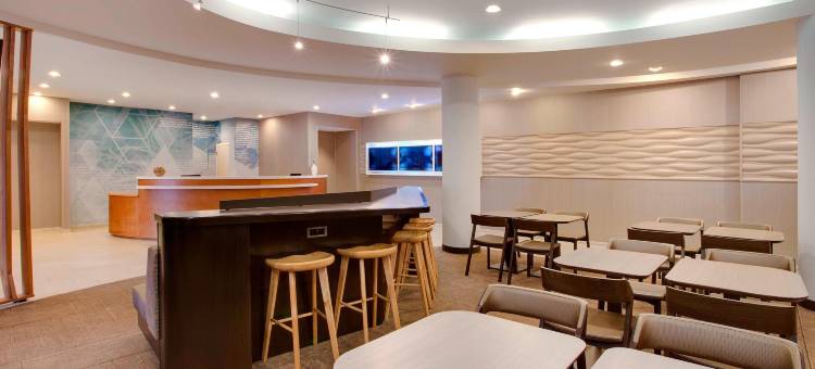 哈特福德机场／温莎洛克斯万豪SpringHill酒店(SpringHill Suites Hartford Airport/Windsor Locks)图片