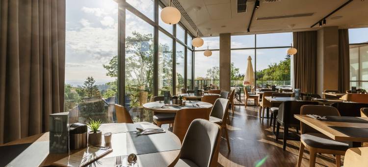 斯克拉斯卡波伦巴丽笙酒店(Radisson Hotel Szklarska Poreba)图片