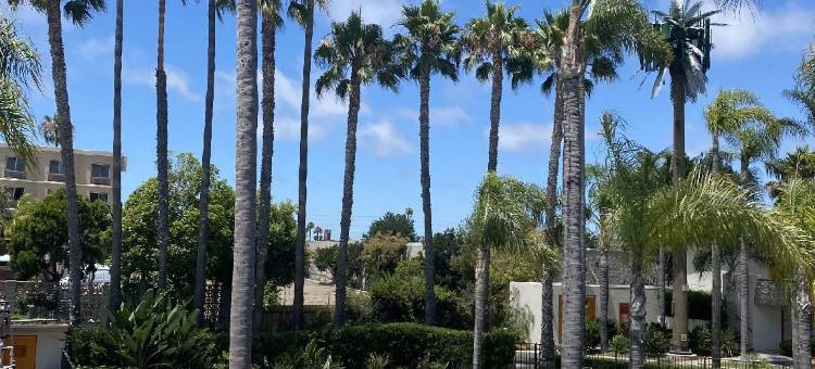 丘拉维斯塔帕尔梅拉斯酒店(Hotel Palmeras Chula Vista)图片