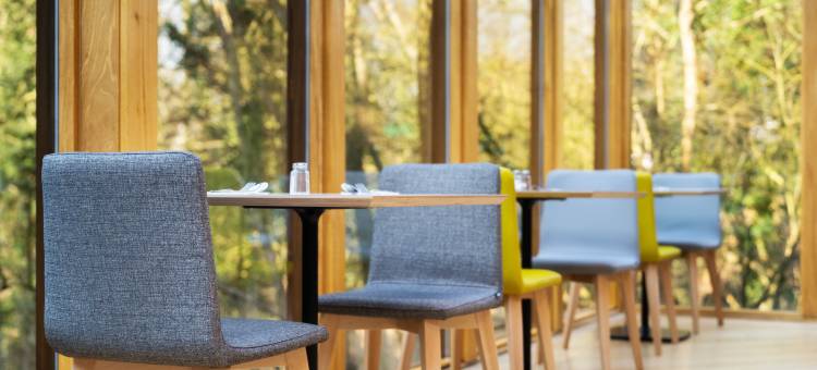 赫默尔亨普斯特德M1-J8路口假日酒店(Holiday Inn HEMEL HEMPSTEAD M1, JCT. 8 by IHG)图片