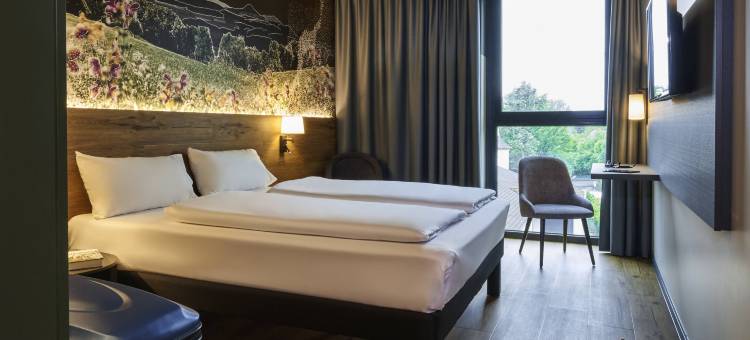 宜必思尚品辛根酒店(Ibis Styles Singen)图片