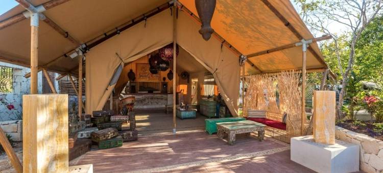 奥尔沃克斯岛海滨梦体验酒店(Holbox Dream Beachfront Hotel)图片