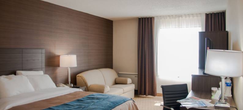 莱维斯舒适酒店(Comfort Inn)图片