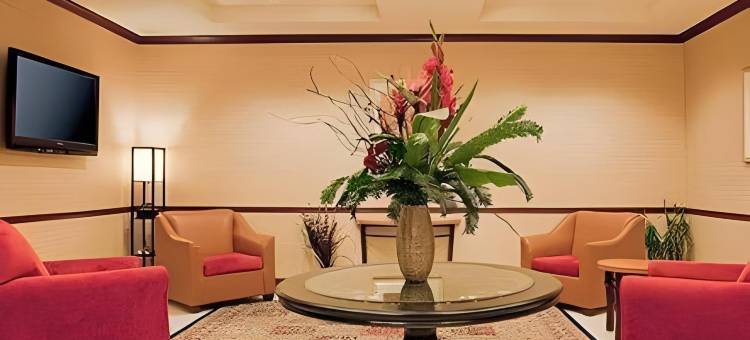 智选假日套房酒店阿马里洛南(Holiday Inn Express & Suites Amarillo South)图片