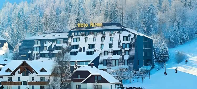 阿尔皮纳酒店(Hotel Alpina)图片