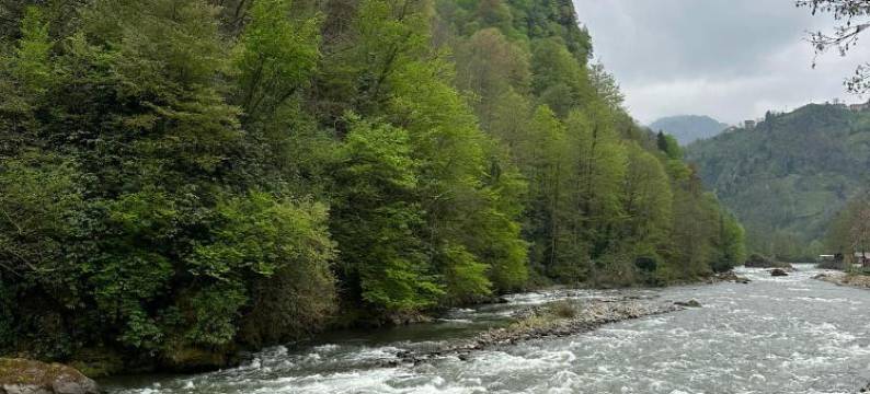 Ria Suit Bungalow图片