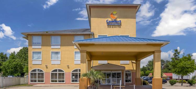 切萨皮克朴茨茅斯舒适套房酒店(Comfort Inn & Suites Chesapeake - Portsmouth)图片