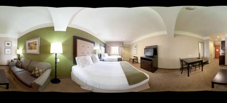 加尔维斯顿西海堤智选假日酒店(Holiday Inn Express & Suites Galveston West-Seawall)图片