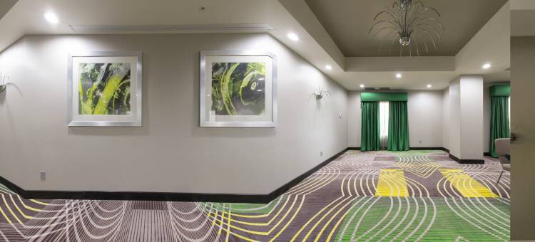 智选假日套房酒店诺曼(Holiday Inn Express & Suites Norman)图片