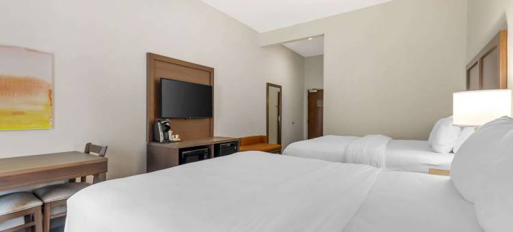 切斯特顿舒适套房酒店(Comfort Inn & Suites Chestertown)图片