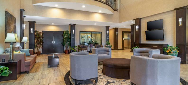 莱托贝斯特韦斯特优质套房酒店(Best Western Plus Lytle Inn  Suites)图片