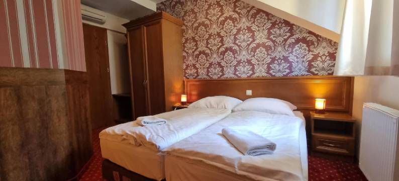 卢卡宫酒店(Rezydencja Pałac Lucja BB)图片