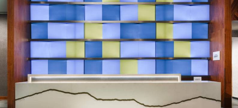 纽约市中心曼哈顿/金融区万怡酒店(Courtyard New York Downtown Manhattan/Financial District)图片