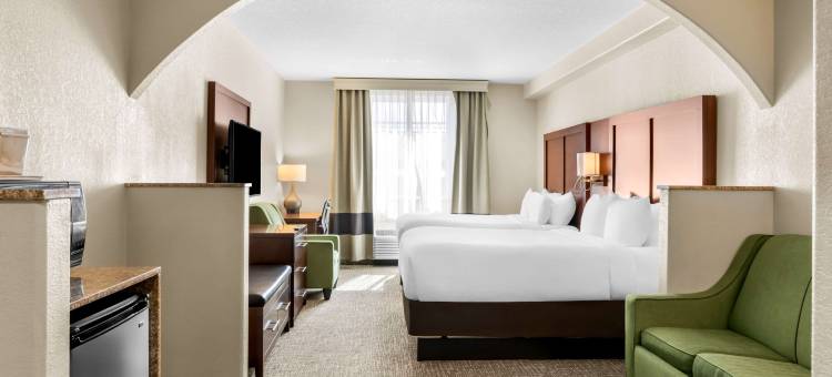 舒适套房酒店(Comfort Inn and Suites)图片