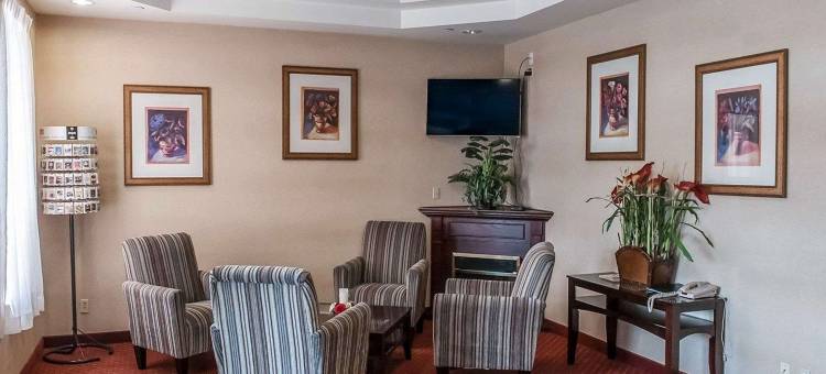 舒适酒店(Comfort Inn)图片