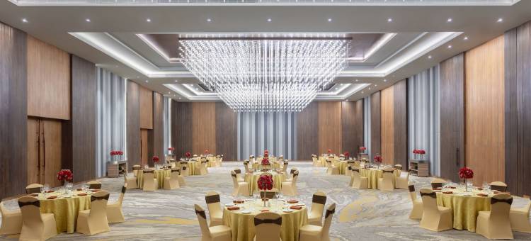 金奈喜来登度假水疗大酒店(Sheraton Grand Chennai Resort & Spa)图片