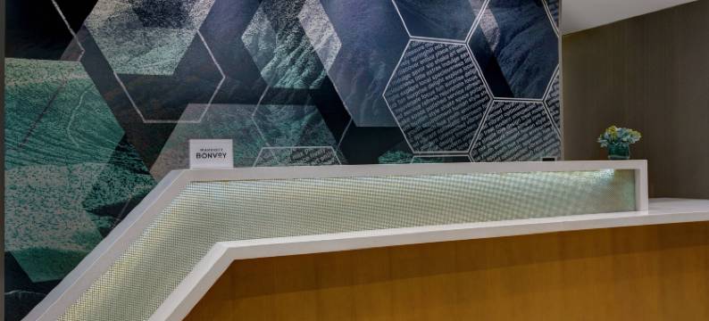 Marriott Franklin Cool Springs的SpringHill套房(SpringHill Suites Franklin Cool Springs)图片