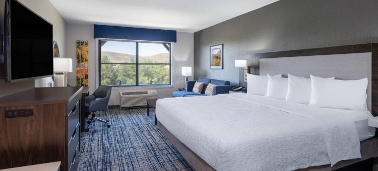 阿古拉山欢朋套房酒店(Hampton Inn & Suites Agoura Hills)图片