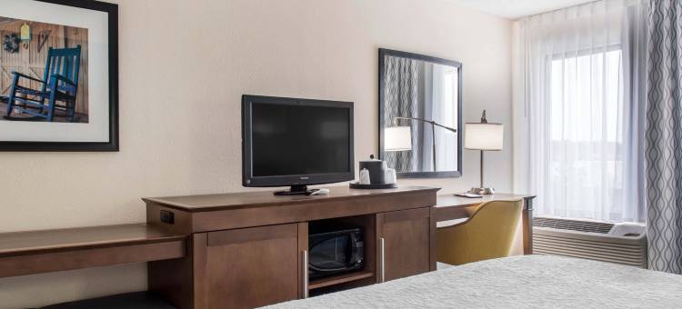 希尔顿欢朋酒店-道格拉斯(Hampton Inn Douglas)图片