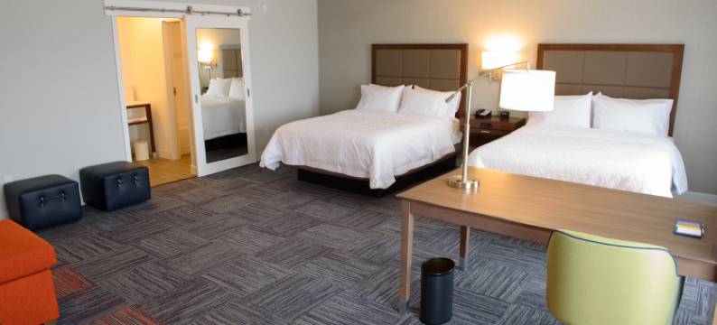 湾城欢朋套房酒店(Hampton Inn & Suites Bay City)图片