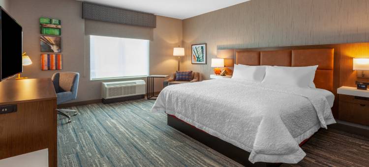 底特律布卢姆菲尔德山欢朋套房酒店(Hampton Inn and Suites by Hilton Bloomfield Hills Detroit)图片