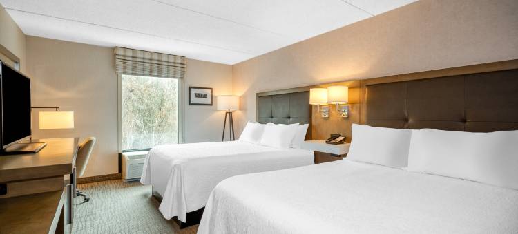 雷纳姆-陶顿欢朋酒店(Hampton Inn Raynham-Taunton)图片
