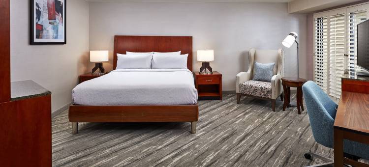 瓦伦西亚六旗希尔顿花园酒店(Hilton Garden Inn Valencia at Six Flags)图片