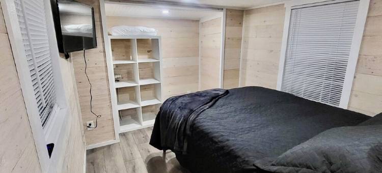 Modern Nest Tiny Home图片