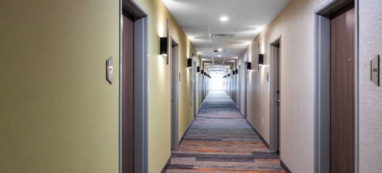 芝加哥博林布鲁克希尔顿惠庭酒店(Home2 Suites by Hilton Bolingbrook Chicago)图片