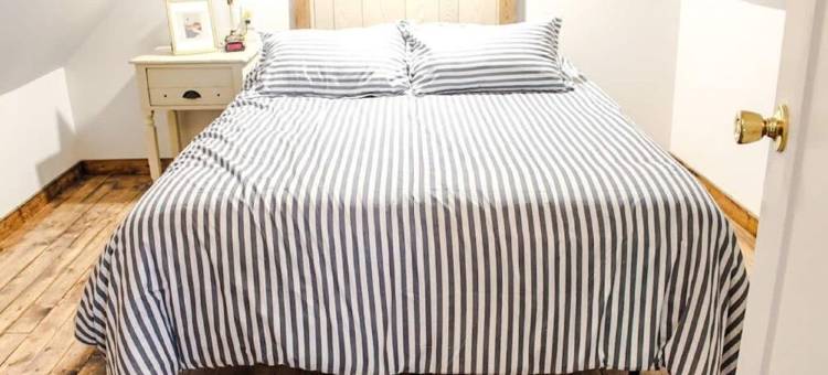 Blue Fern Hotel - Nestled Away Loft Space图片