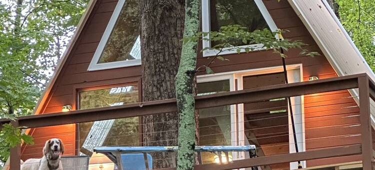 Spectacular riverfront treehouse, relaxing, swimming, paddling, and fishing.图片