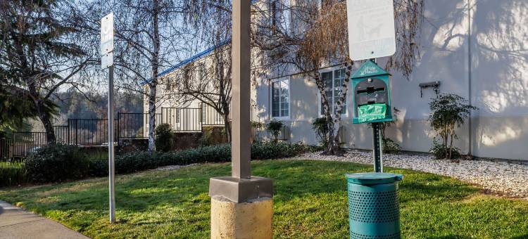 奥本6号汽车旅馆(Motel 6 Auburn, CA)图片