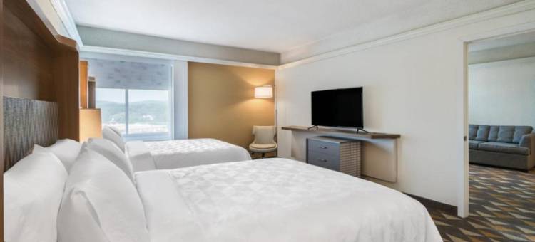 皮茨菲尔德 - 伯克郡智选假日套房酒店(Holiday Inn Express & Suites Pittsfield-Lenox-Berkshires by IHG)图片