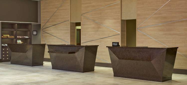 罗利北山希尔顿酒店(Hilton Raleigh North Hills)图片