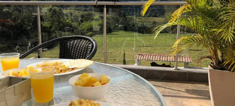 萨伦托帕玛斯精品酒店(Hotel Boutique Palmas de Salento)图片