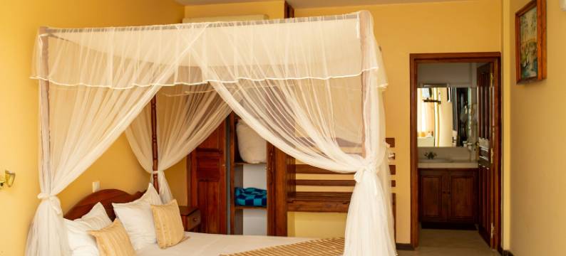 Amazone图利亚尔酒店(Amazone Hotel Tulear)图片