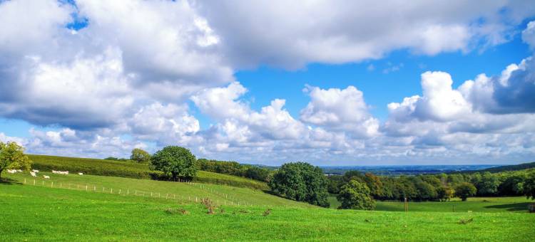 福赐约瑟夫拉法奇酒庄度假村葡萄酒桶体验(Domaine Joseph Lafarge Wine Resort Oeno-Tonneaux expérience)图片