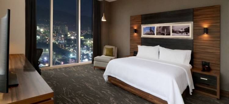 蒙特雷欧比斯帕多希尔顿花园酒店(Hilton Garden Inn Monterrey Obispado)图片