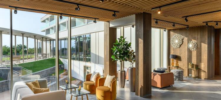 Vinifera葡萄酒与温泉酒店(Hotel Vinifera Wine & Spa)图片