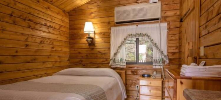 斯普林斯旅馆和咖啡馆(Springs Lodge & Cafe)图片