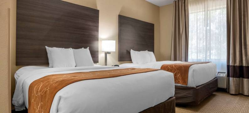 莫比尔舒适全套房酒店(Comfort Suites Mobile West/Tillmans Corner)图片