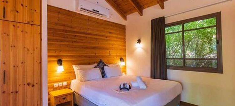 诺菲格嫩度假村酒店(Nofey Gonen Holiday Village)图片