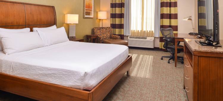 博伊西谱希尔顿花园酒店(Hilton Garden Inn Boise Spectrum)图片