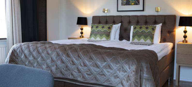 缪尔比城市酒店(Mjölby Stadshotell)图片